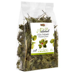 ALEGIA Strawberry leaves -...
