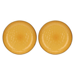 Set of 2 Concerto Ocra...