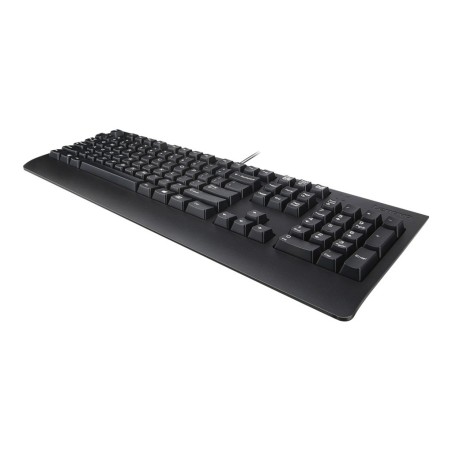 LENOVO PREFERRED PRO II USB KEYBOARD-BLACK  .US. ENGLISH WITH EURO SYMBO