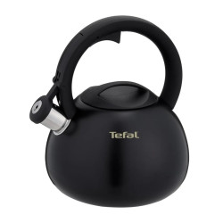 Non-Electric Kettle TEFAL...