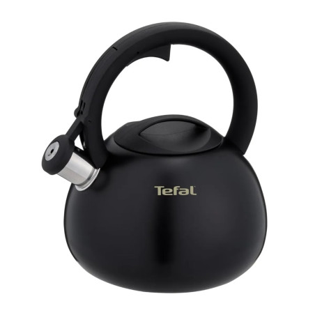 Non-Electric Kettle TEFAL N4180410, Black, Matte