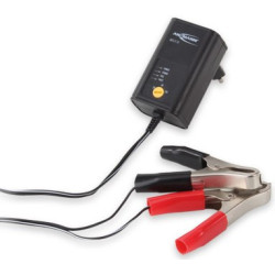 Ansmann ALCS 2-12 battery...