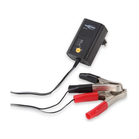 Ansmann ALCS 2-12 battery charger