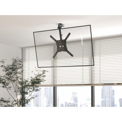 Equip 23"-55" Ceiling Mount...