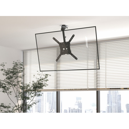 Equip 23"-55" Ceiling Mount TV Bracket