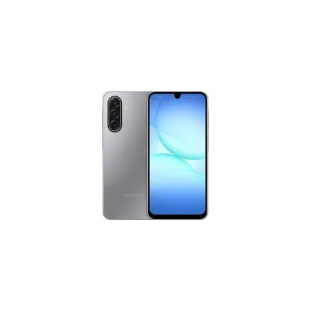 Samsung Galaxy A17 5G 17 cm (6.7") Hybrid Dual SIM USB Type-C 8 GB 256 GB 5000 mAh Grey
