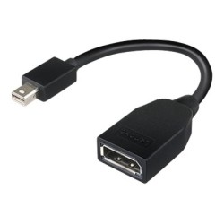 LENOVO MINI-DP TO DP ADAPTER