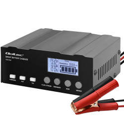 Qoltec 12V Smart...