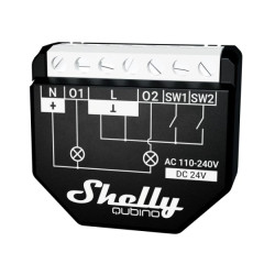 Shelly Qubino WAVE 2PM...