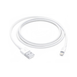 Apple Lightning to USB...