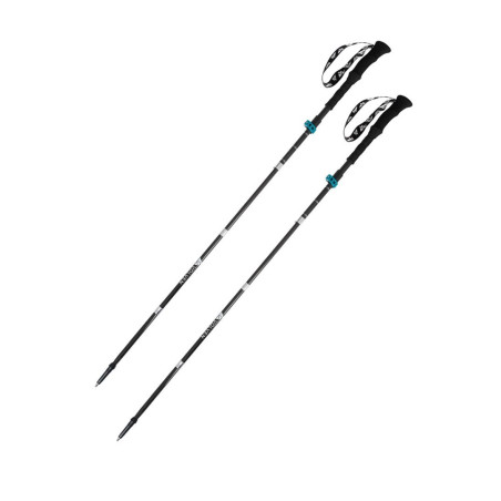 Expert Poles carbon-blue VOLVEN