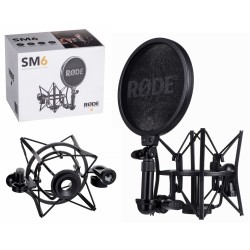 RØDE SM6 microphone...