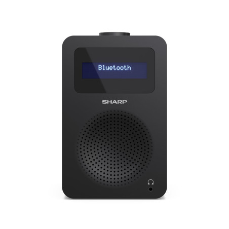 Sharp DR-430 Personal Digital Black