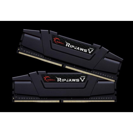 G.Skill | Ripjaws V | 32 Kit (16GBx2) GB | DDR4 | 3200 MHz | PC/server | Registered No | ECC No