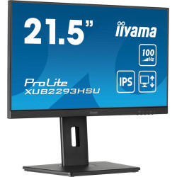 iiyama ProLite...