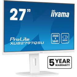 iiyama ProLite...