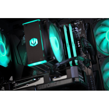 Actina 5901443453093 PC AMD Ryzen™ 5 7500F 16 GB DDR5-SDRAM 500 GB SSD NVIDIA GeForce RTX 5060 Midi Tower Black