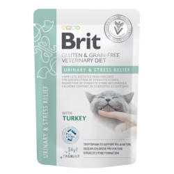 BRIT VD Urinary and Stress...
