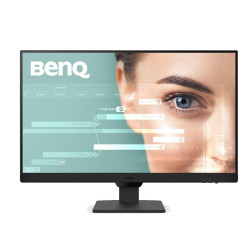 BenQ GW2490 computer...
