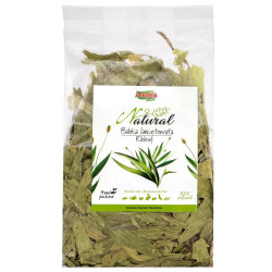 ALEGIA Ribleaf - treat for...