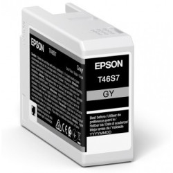 Epson Singlepack Gray T46S7...