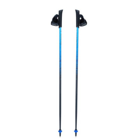 Nordic walking poles Viking Pro-Trainer blue 110