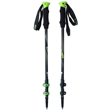 Viking Poles Kivi Trekking