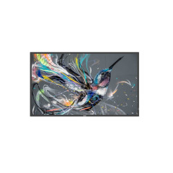 Philips 50BDL3511Q/00...