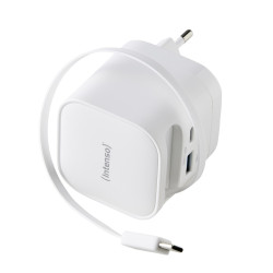Intenso 7806520 power...