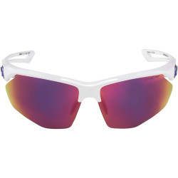 ALPINA Cycling Glasses...