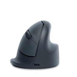 MOUSE USB OPTICAL WRL...