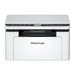 Pantum BM2300W...