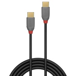 CABLE USB2 TYPE C 1M/ANTHRA...