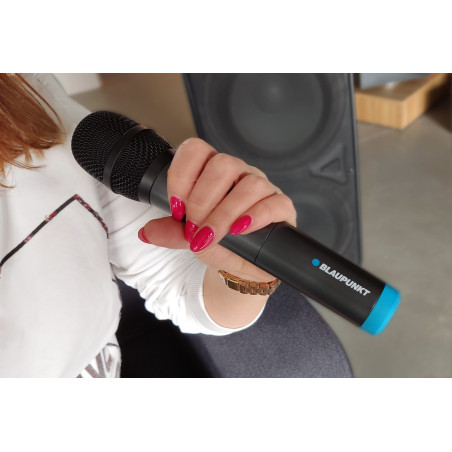 Blaupunkt UHF WM60UDB Dual Wireless Microphone