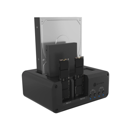 Raidsonic 4-bay Enclosure for 2x M.2 NVMe and 2x 2.5"/3.5" HDD/SSD | IB-2925MS-CU31