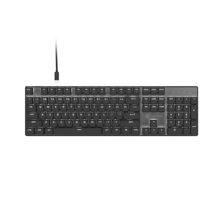 Natec Amberjack | Keyboard | Wired | US | Linear | White backlight, Hot-swappable switches, Anti-ghosting, Built-in memory, Macro recording | Black/Gray
