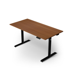Arozzi Electric Standing...