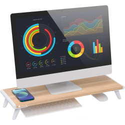 Techly ICA-MS 389 monitor...