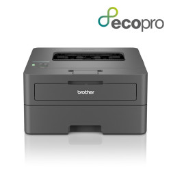 Brother HL-L2400DWE laser...