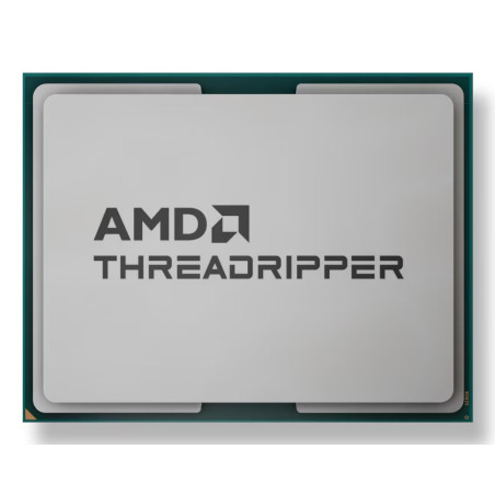 AMD Ryzen Threadripper 9960X processor 4.2 GHz 128 MB L3 Tray