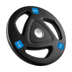 Rubberized cast iron weight...
