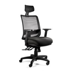 Ergonomic office chair SAGA...