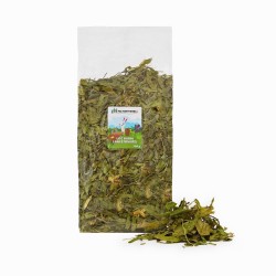 FACTORYHERBS Plantain leaf...