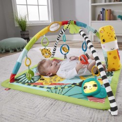 FISHER PRICE EDUCATIONAL...