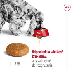 ROYAL CANIN Adult Medium -...