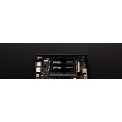 Kingston Technology FURY...