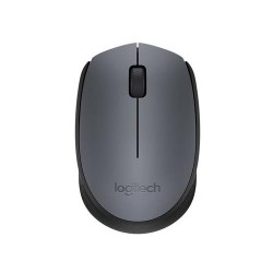 MOUSE USB OPTICAL WRL...