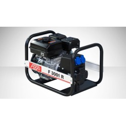 Power Generator FOGO F3001R...