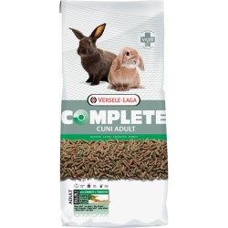 VERSELELAGA ADULT RABBIT...