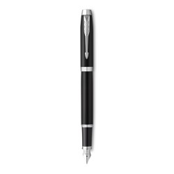 Parker IM fountain pen...